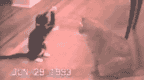 Animated Pictures Myspace Comments