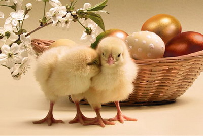 Easter Myspace Comments