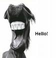 Hello! Myspace Comments