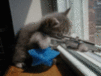 Funny Myspace Comments