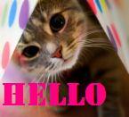 Hello!<br />Myspace Comments