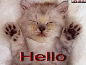 Hello! Myspace Comments