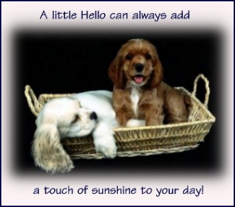 Hello!<br />Myspace Comments