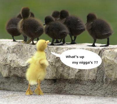 Funny Myspace Comments