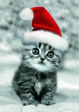 Christmas Myspace Comments