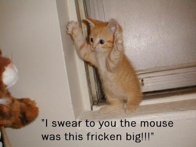 Funny Myspace Comments