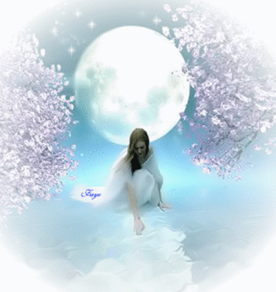 Fantasy Myspace Comments